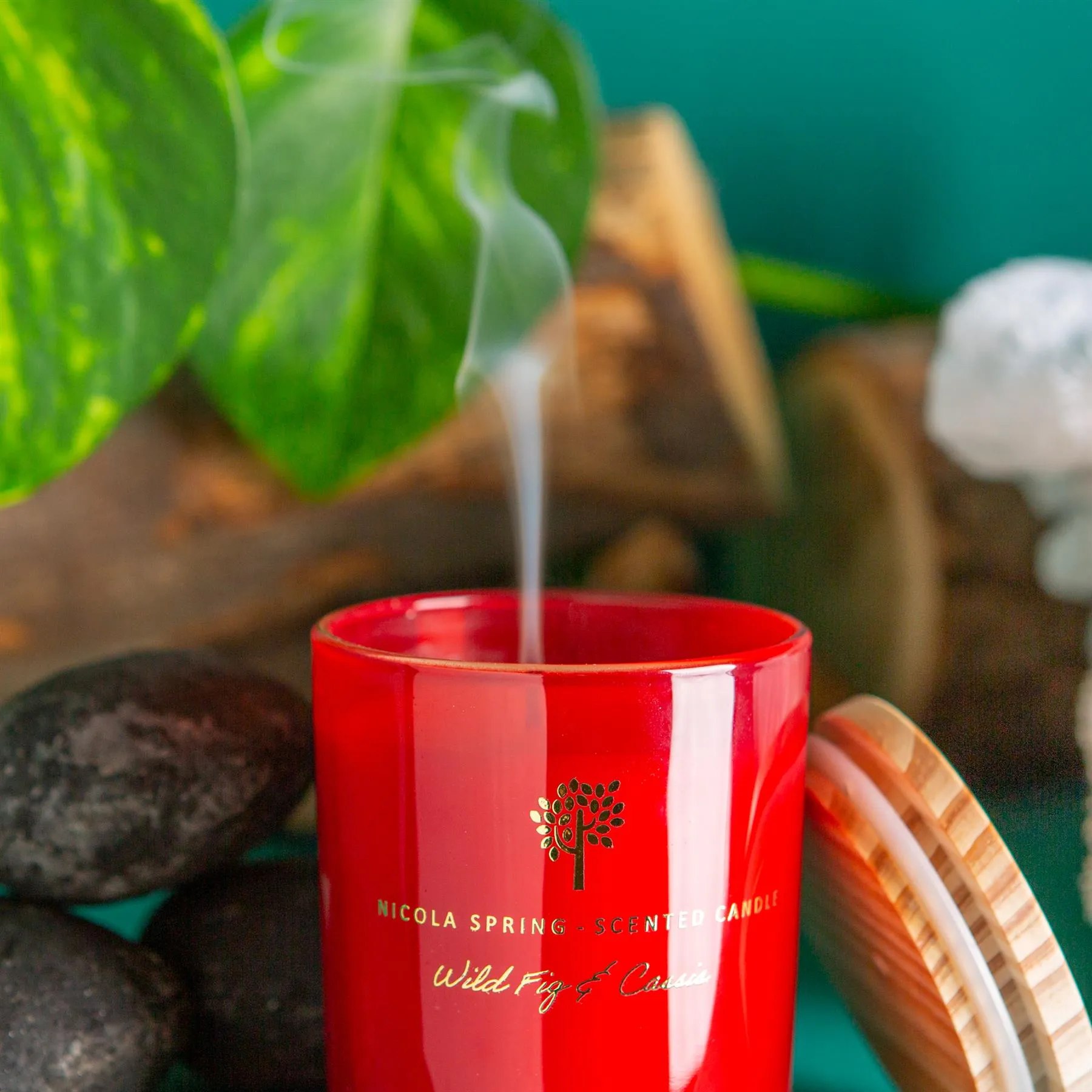130g Wild Fig & Cassis Scented Soy Wax Candle - By Nicola Spring