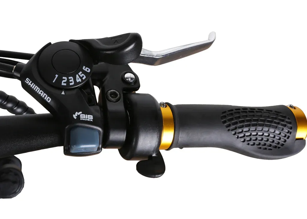 Nakto 300W Mini Cruiser Fat Tire Electric Bike
